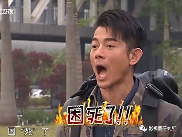 老牌游泳冠军女人是谁_游泳冠军女的_老牌女游泳冠军是哪些人